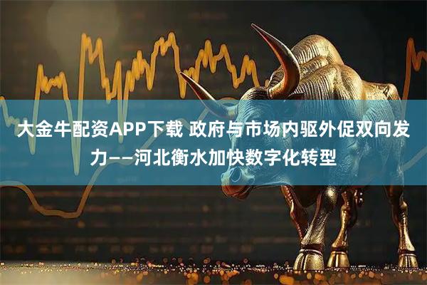 大金牛配资APP下载 政府与市场内驱外促双向发力——河北衡水加快数字化转型