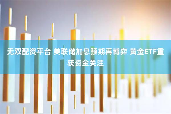 无双配资平台 美联储加息预期再博弈 黄金ETF重获资金关注